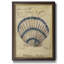 Seashell Ephemera III, toile encadrée de qualité supérieure - prête à être accrochée-720220935