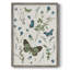 «Botanical Page II», reproduction encadrée - bois massif