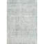 ZIVNVIZIGGY00 Wool Area Rug in Gray-107094822