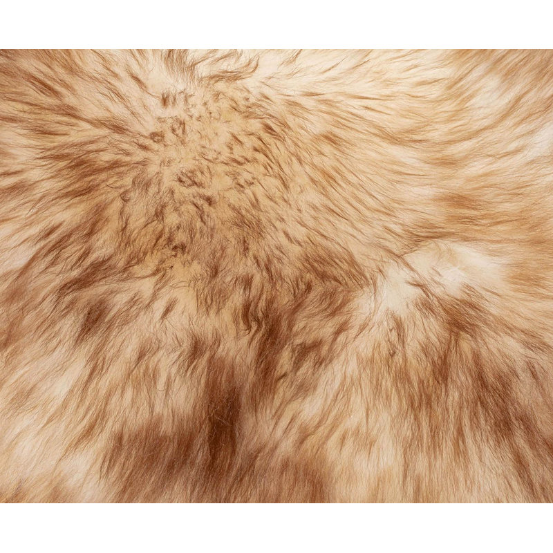 Aviva Southwestern Rug
