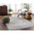 Oriental Indoor Rug-512339746