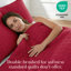 Ensemble de courtepointe Southshore Essentials de Southshore Fine Linens, couleur rouge piment, en microfibre doublement brossée, grande couette légère brodée avec 2 taies d'oreiller standard, grand lit/queen-40261344-65573751