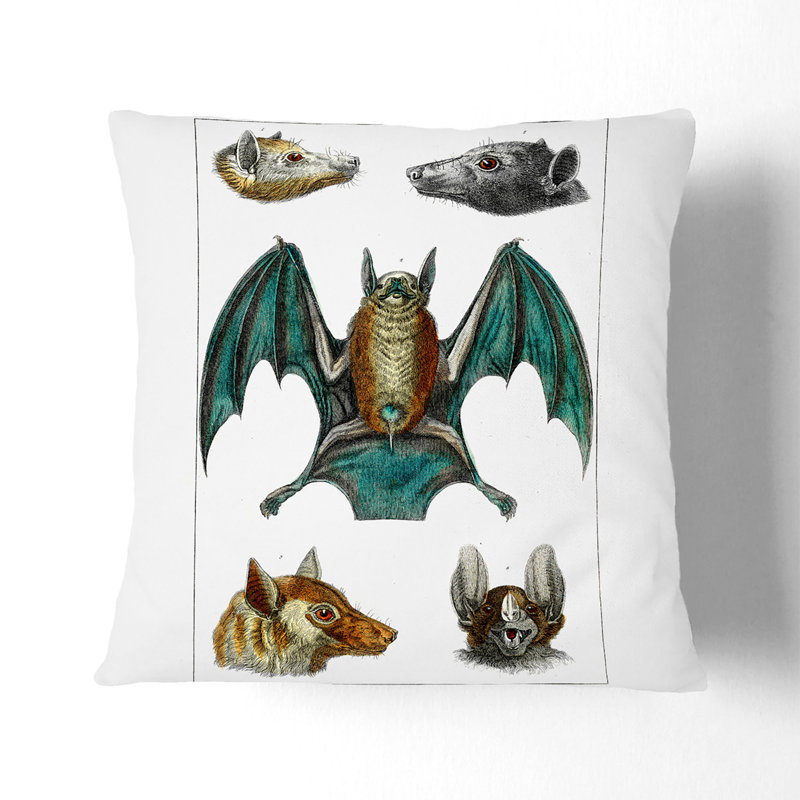 Various Bats by Oliver Goldsmith Cushion with Filling, White, 55cm H x 55cm W x 20cm D