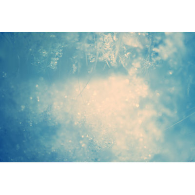 Macro Shot of Snowflakes by Kamisoka