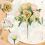 Arrangement-196969936