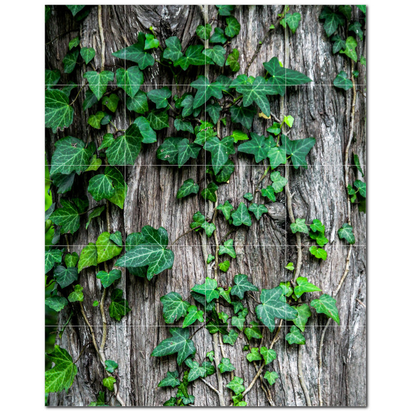 Trees Photo Decorative Mural