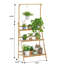 Plant Stand