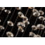 Samuels 3 - Light Crystal Chandelier