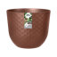 Plant Pot-72816986-72816987