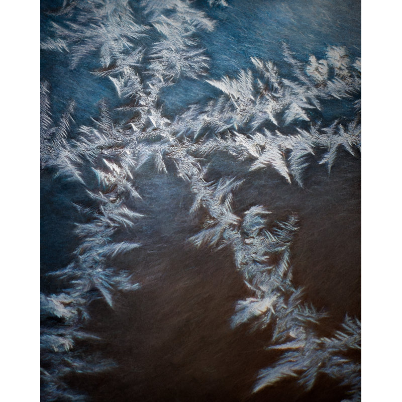 Ice Crossing Print by Scott Norris