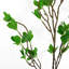 Artificial Arrangement