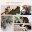 78.5cm H Cat Tree