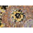 One-of-a-Kind 4' X 6'3" New Age Area Rug in