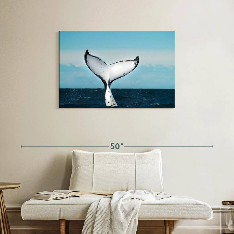 Baleine Brampt