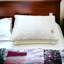 Coussin en coton 2 pièces Feathers