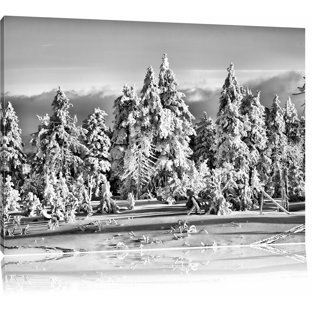 Leinwandbild Winterwald in Monochrom