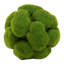 Moss Vase Filler-1474463025