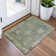 Machine Washable Indoor/Outdoor Xhevrie Sage Rug