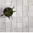 1.6 x 1.9 Marble Basketweave Mosaic Tile-58255615