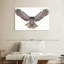 Owl Power-107703797