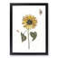 Sunflower with Butterflies by Johan Teyler - Picture Frame Painting Print-55613863-55613868