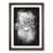 Walnut Framed selected