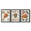 Collection de coquillages collectés - ensemble de 3 peintures sur toile encadrées-1448296337-1448296336