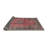 Oriental Indoor Rug-1761697906