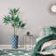 66 plantes-97700200