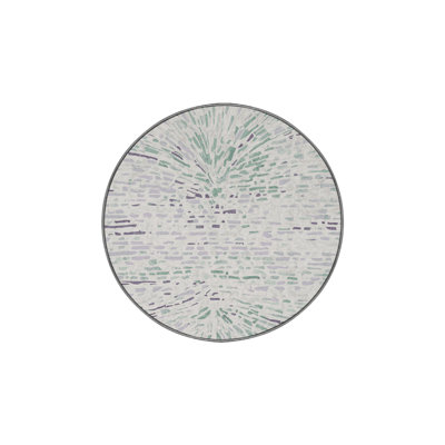 Machine Washable Gray Area Rug