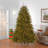 9ft. Dunhill Fir Tree with Dual Colour LED Lights
