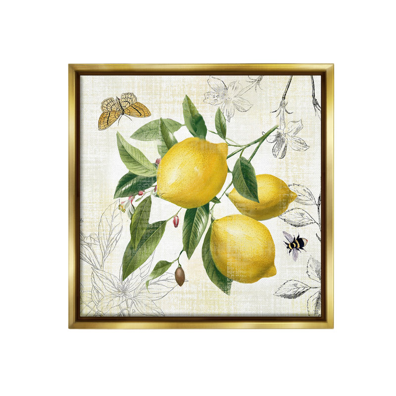 "Vintage Lemon Blossoms" par Nan sur toile, H 25 po x l 25 po, Cadre flottant métallique doré