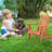 Kids Adirondack Chair, Solid Canadian Cedar Wood, Non-Toxic Water-Based Finish, Indoor/Outdoor Lounge For Playroom, Porch & Backyard(80Lb Capacity)