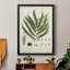 Collection Ferns III - reproduction d'art sur toile encadrée-34410538-34410539
