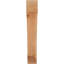 Attelle impériale du genou-31229279-31229289-29309856