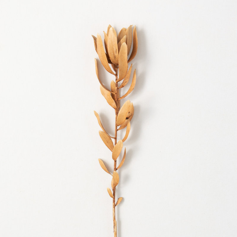 Protea Arrangement, 29" H x 3" W x 2" D, Brown