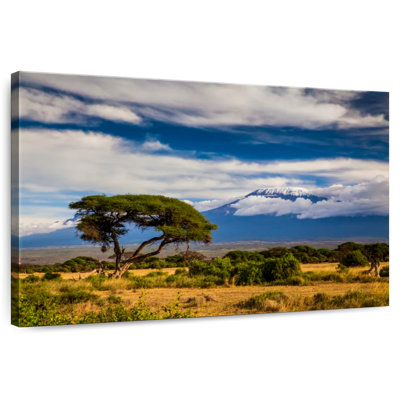 Alvord, paysage du mont Kilimandjaro
