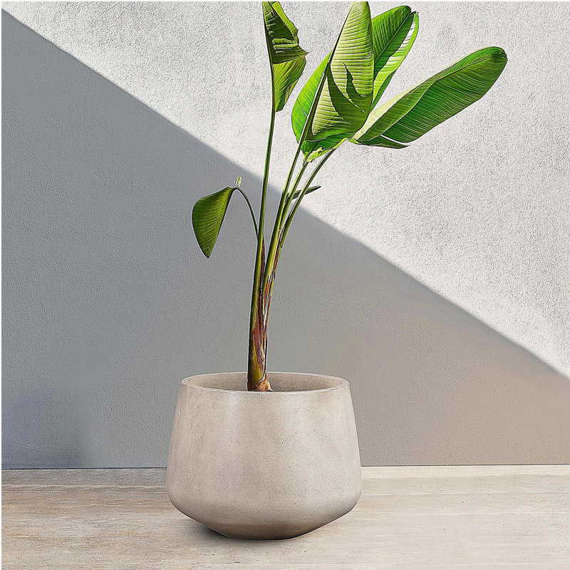Round Lightweight White Concrete Indoor or Outdoor Planter