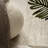 Foerster Abstract Indoor Rug-1953086422