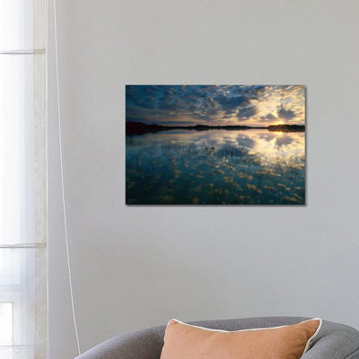 American Alligator In Nine-Mile Pond, Everglades National Park, Florida by Tim Fitzharris - Wrapped Canvas Print