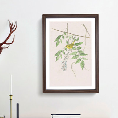 Blue Eyed Yellow Warbler by John Audubon - Picture Frame Painting Print