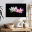 Fleurs de lotus roses et blanches Harnek-108842274