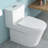 12 - Inch Rough In Ceramic Toilet, Dual Flush 1.24/1.43 , Soft Closing Pp Seat, Quiet & Efficient Flush, Skirted For Hygienic Toilet Use One Piece In, Cleaner Experience