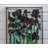 Plants & Flowers Window Panel