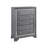 Contemporary Style Chest
