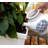 Brandun Planter Box with Trellis-155032841