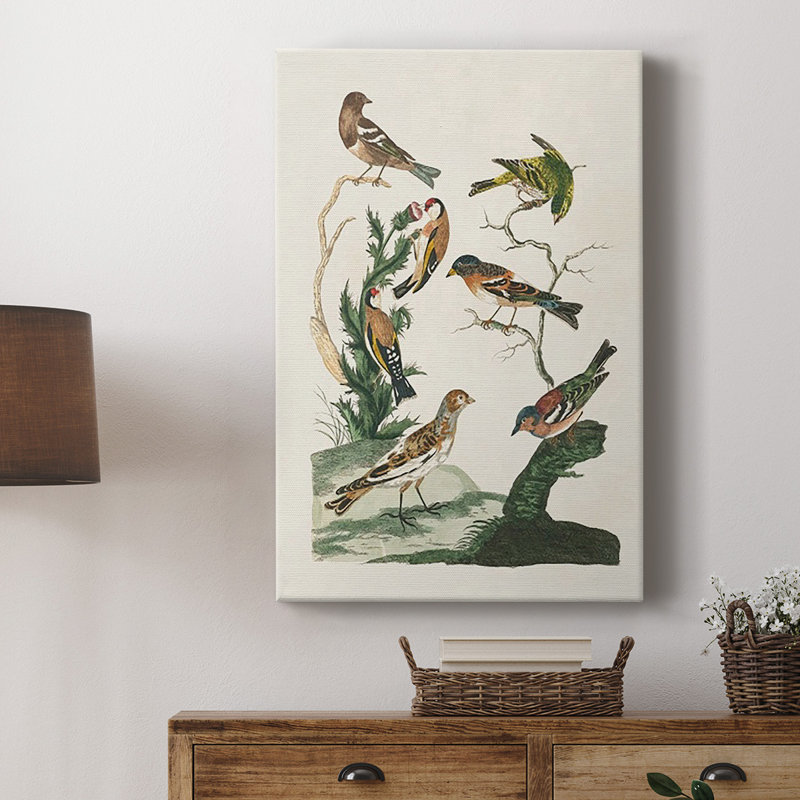 Oiseaux antiques dans la nature I, toile tendue avec châssis de qualité supérieure - prête à être accrochée