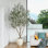 Alvina 96" Olive Tree in Pot