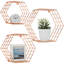 Mthimunye 3 Piece Hexagon Metal Floating Shelf-1086458174