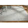 Moonglow Area Rug in Gray